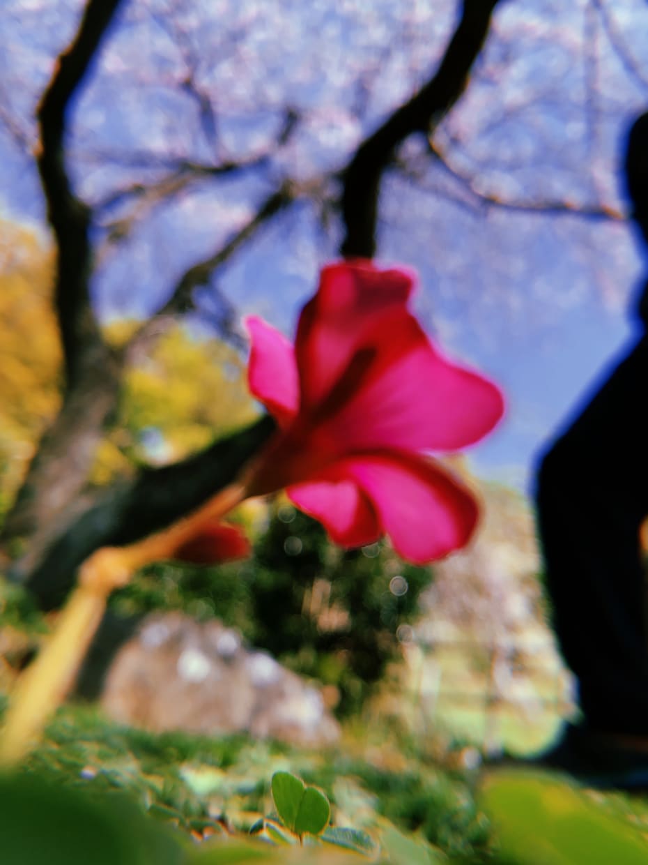 Instagramの投稿をお手伝いします 投稿したいけど何を投稿したら良いの？そんなお悩み解決します！ イメージ2