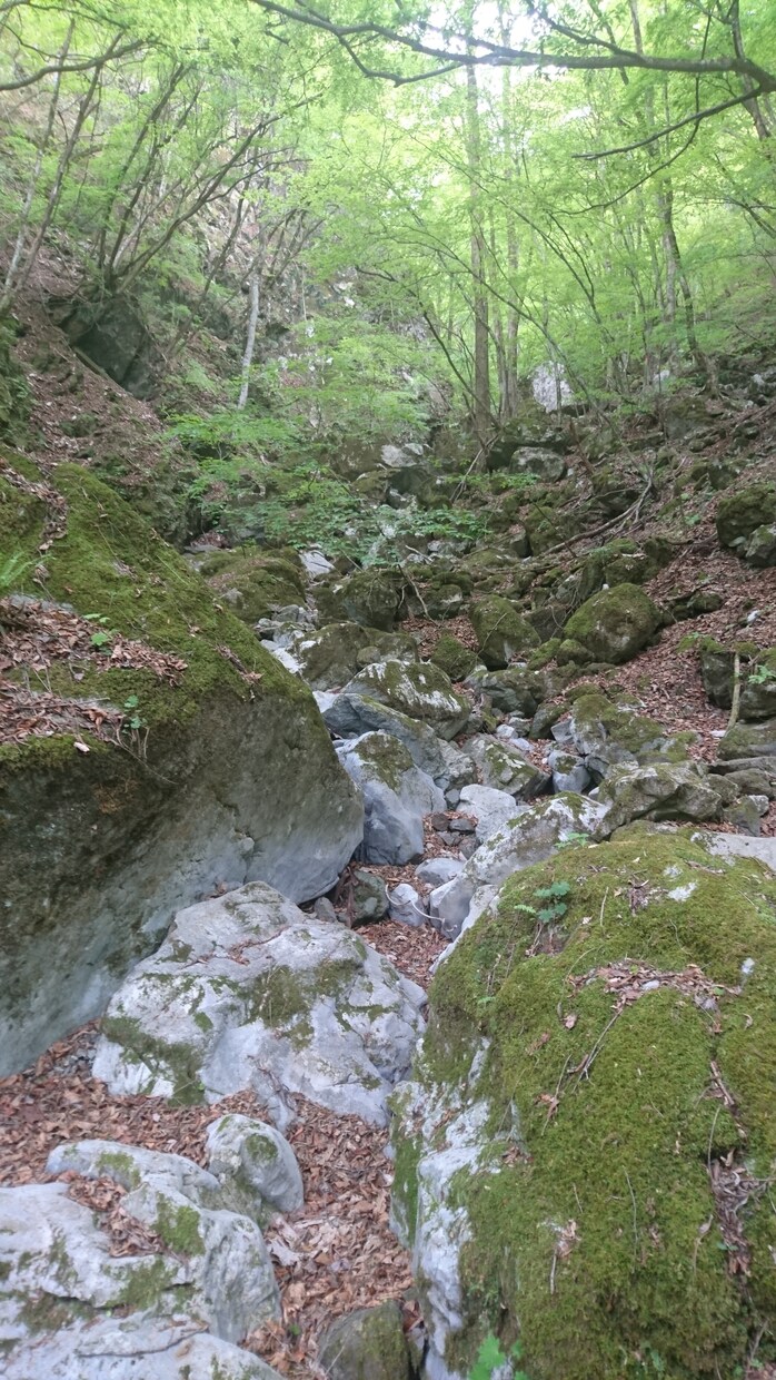 奥多摩へ、裏高尾の日帰り登山ご相談にのります 奥多摩、高尾山、南高尾、裏高尾の日帰り登山のご相談にのります イメージ4