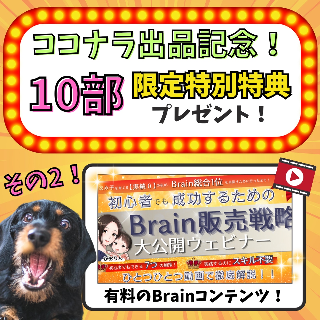 スキル0の初心者でも手堅く稼ぐスキマ副業教えます 初心者やったもん勝ち秘密ノウハウを動画&PDFで徹底解説！ イメージ3