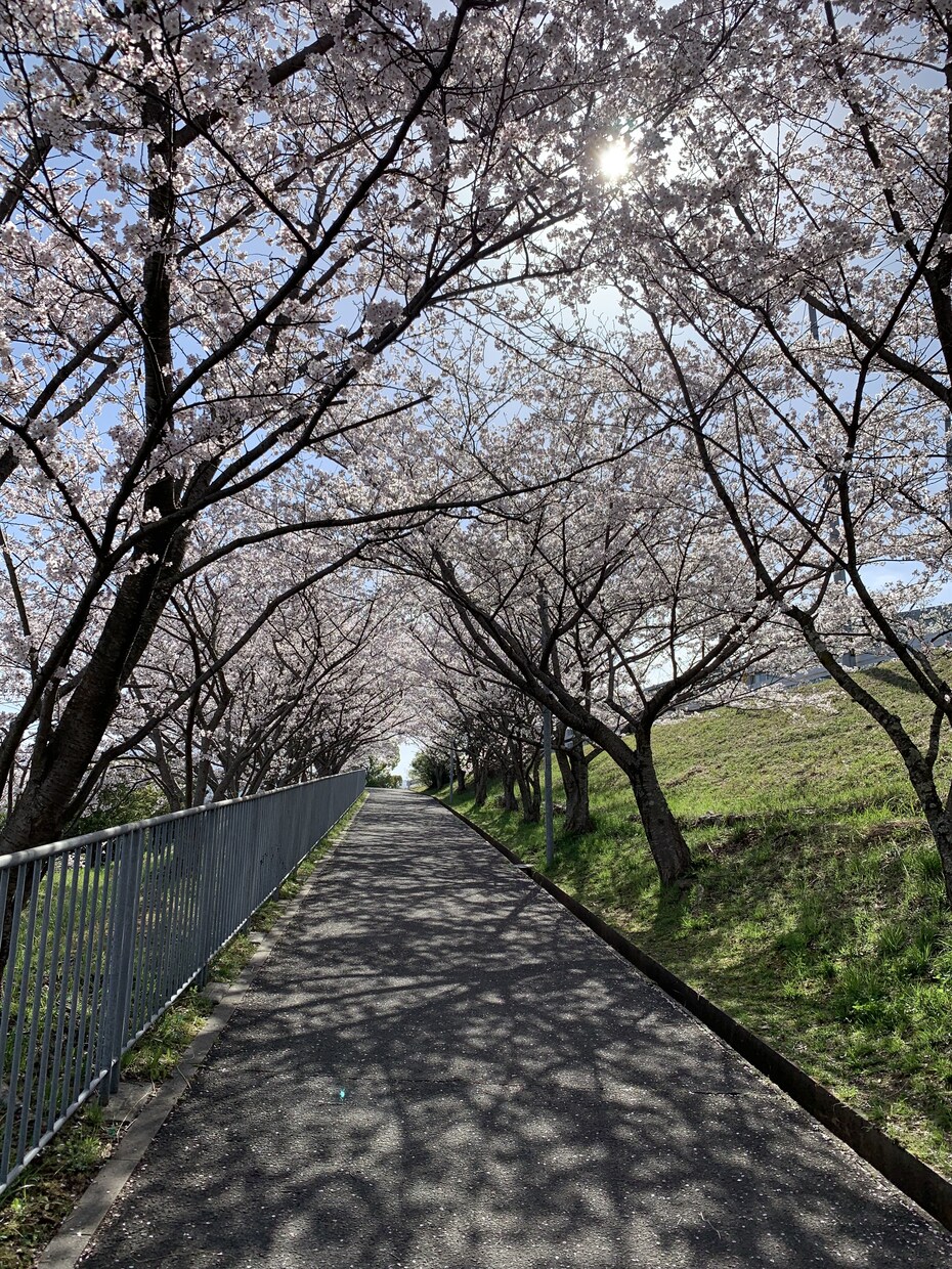 日常生活の愚痴聞きします あなたの心が少しでも軽くなれば イメージ1