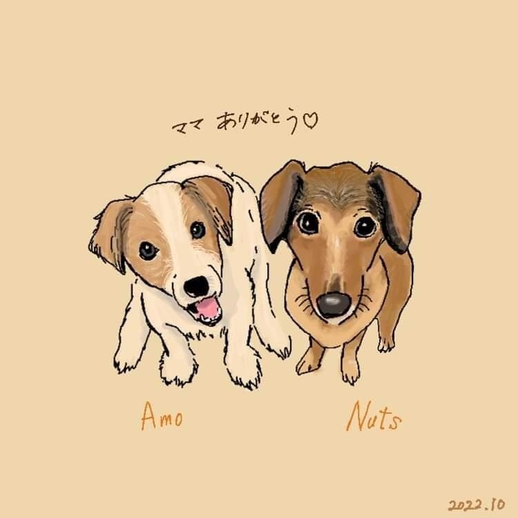 あなたの大切なペットの絵を描きます どんな動物もお描きいたします♡ご相談ください♡ イメージ2
