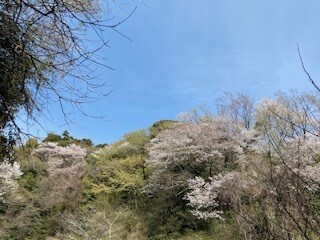 仕事・職場の悩み、聴きます 長らく相談室等で勤務したカウンセラーがしっかり受け止めます！ イメージ2
