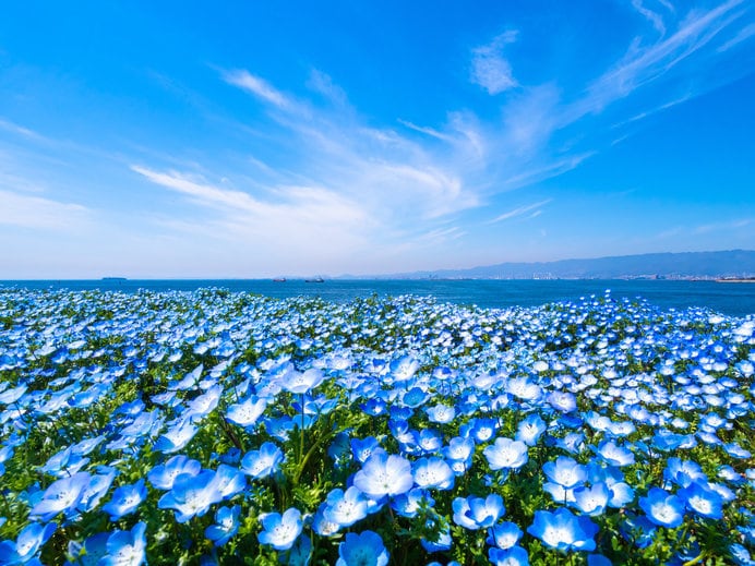 心霊写真かを詳細に鑑定します 霊査探偵neoが心霊写真や現象なのか詳細に鑑定致します イメージ1