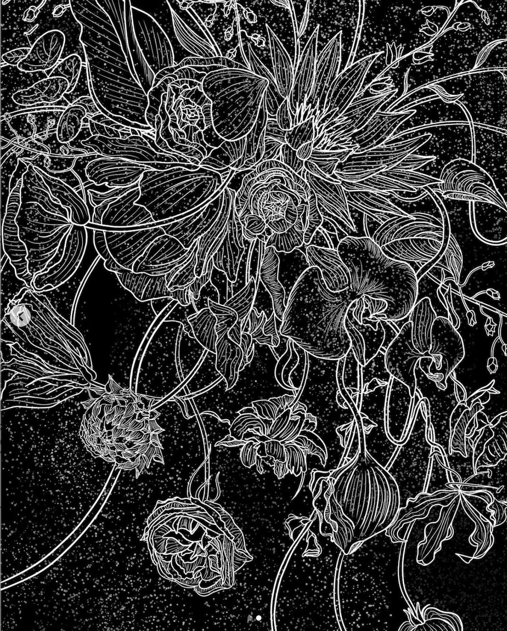 背景なしの女の子や花のイラスト絵描きます 綺麗で他と被らない幻想的なイラストを提供します イメージ8