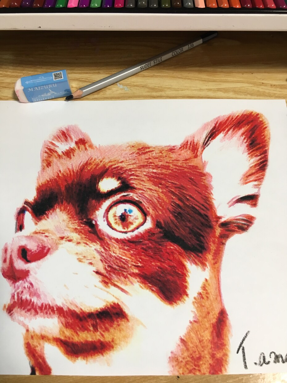 ペット、艦、 SH-60Kなどリアル系描きます ペットや主に海自関係を小さな絵、描いてます イメージ8