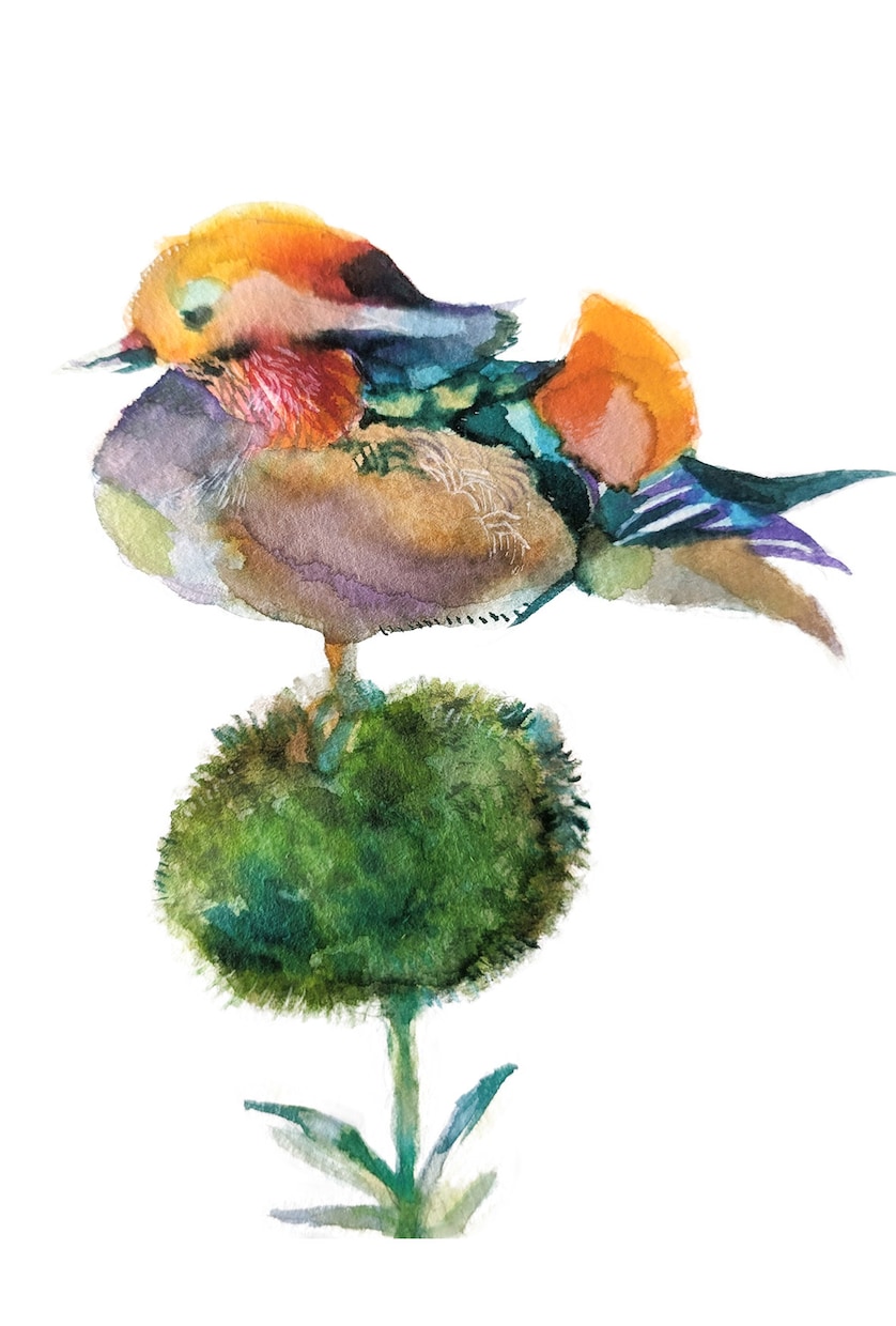 修正無料　動物イラスト（ペット）承ります 動物と植物をコーディネートします イメージ4