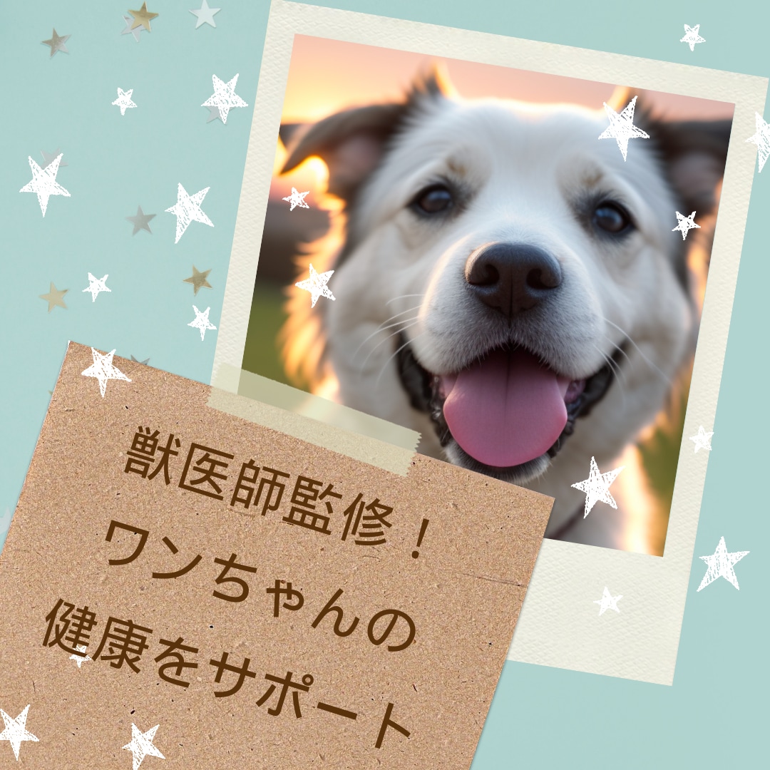 迅速・低価格！インスタグラム用の画像作成します AIを使用したインスタグラム投稿作成サービス イメージ5