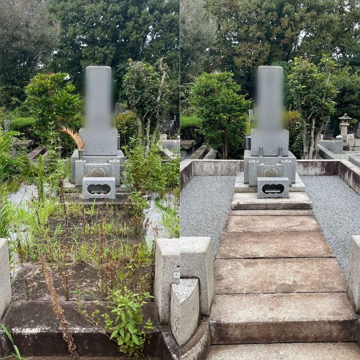多磨霊園｜お墓参り代行・除草剤散布します 8500円(税抜)事前下見・写真報告・除草剤散布でお墓綺麗に イメージ1