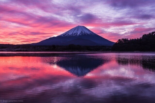 Web マーケティングします 何かを宣伝したい方おススメです！特に投資関係は強いです。 イメージ1