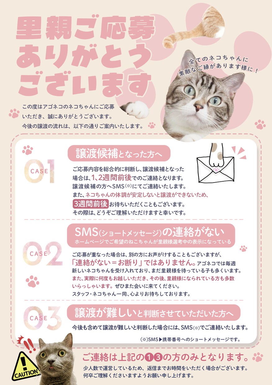 先着5名様特別価格！想いの伝わるデザイン作ります ペット/子供/教育系/女性向け/ビジネスもおまかせください！ イメージ4