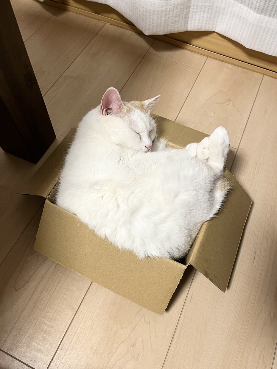 悩みが堂々巡りしてる方！本質を見極めてツッコミます 友達感覚、ゆるい雰囲気でお話しします イメージ3