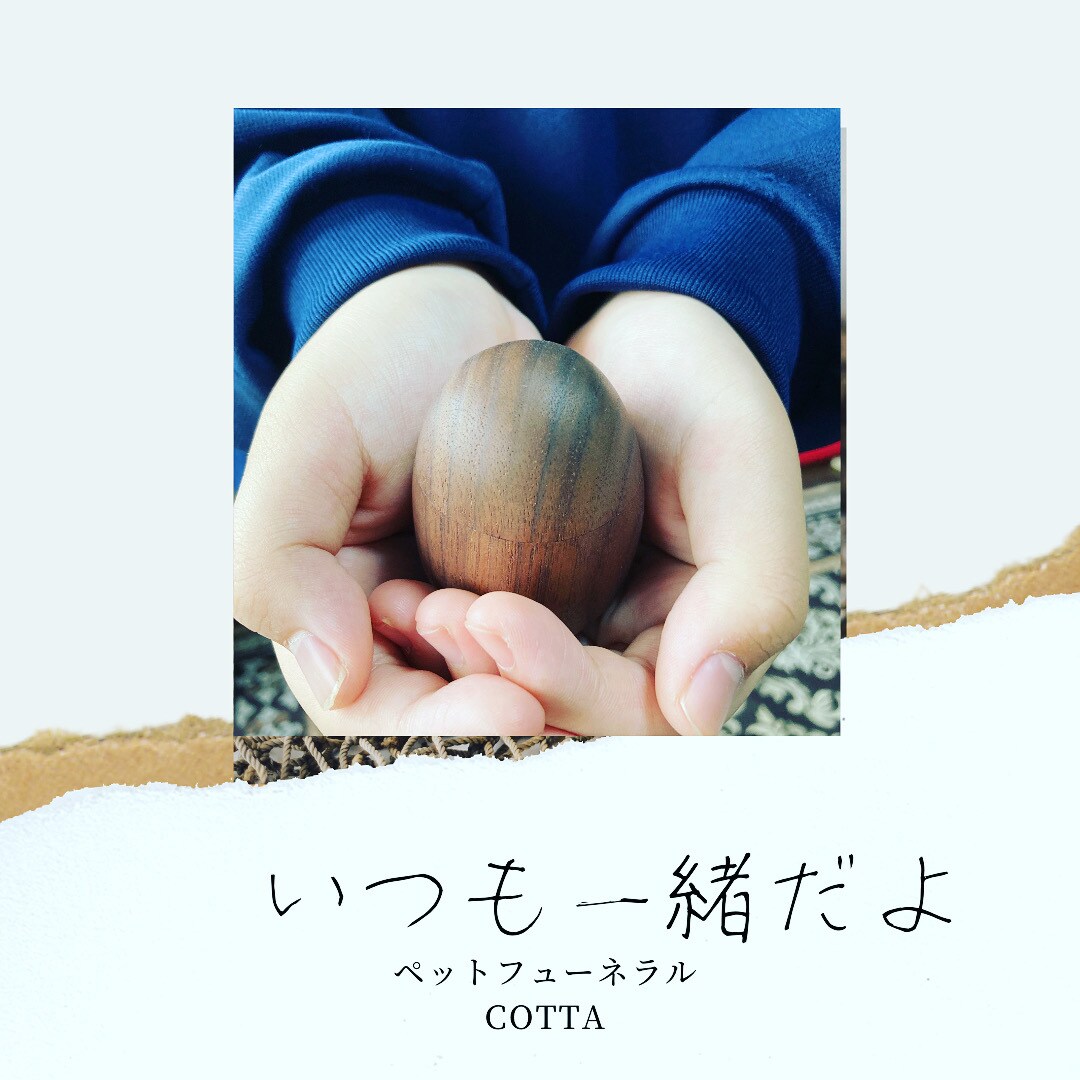 ペットロスカウンセラーが辛い気持ちに寄り添います ペットロス経験者がペットロスカウンセラーになりました。 イメージ3