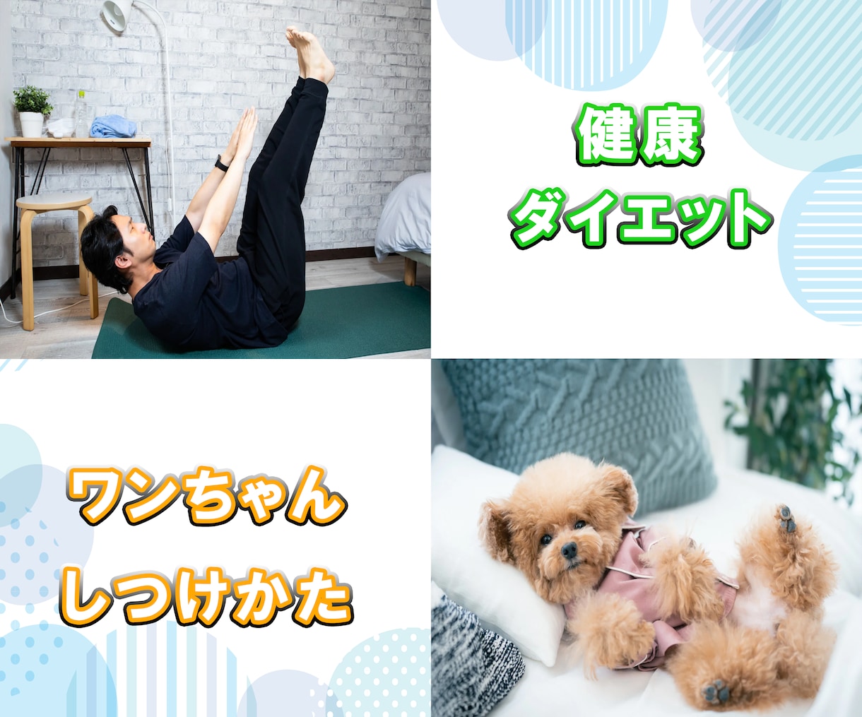 再配布権付きの情報商材205点！破格でご提供します アフィリエイト・各種特典・リライト・自己研鑽など用途無限大！ イメージ5