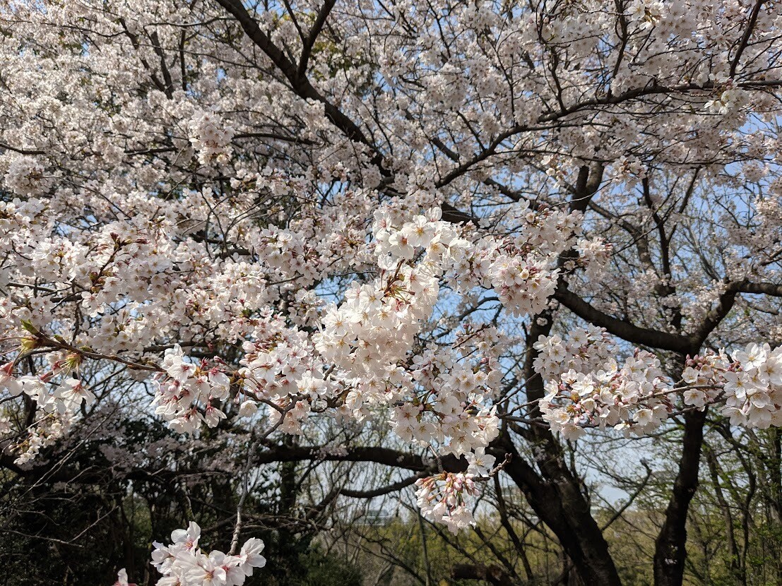 緊急用！お葬式ってどうすればいいの？何でも答えます 葬儀・法事の事　葬祭ディレクター1級が質問に応えます イメージ10