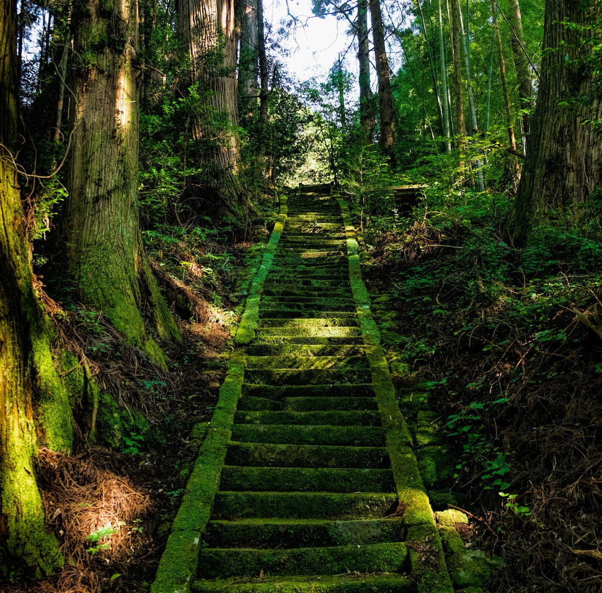 今から90日の魂路未来設計書を作ります 三つの未来と30日ごとの行動を一冊にします イメージ1