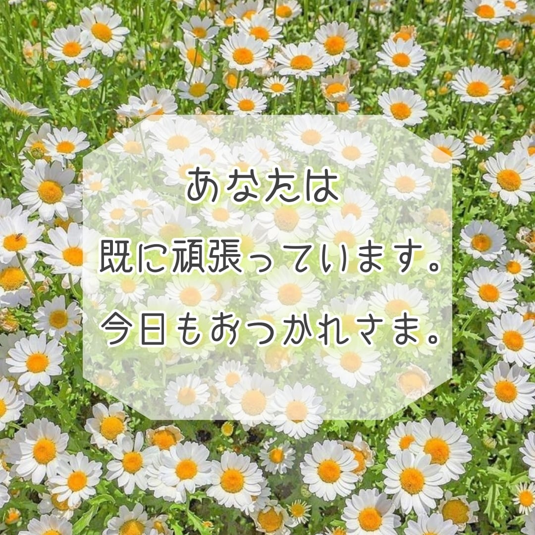 産後の不安や孤独についてのお話聞きます 本来のあなたへ。今日を生き抜いただけすごい事です。 イメージ3
