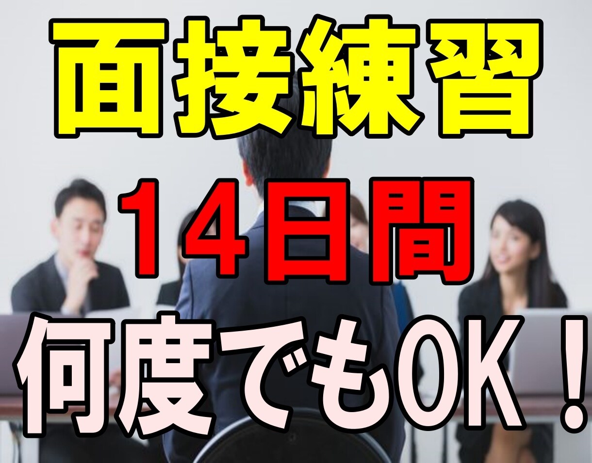 14日間何度でも練習ＯＫ！面接アドバイスいたします 20代大手企業元採用担当者が面接練習をサポート！ イメージ1