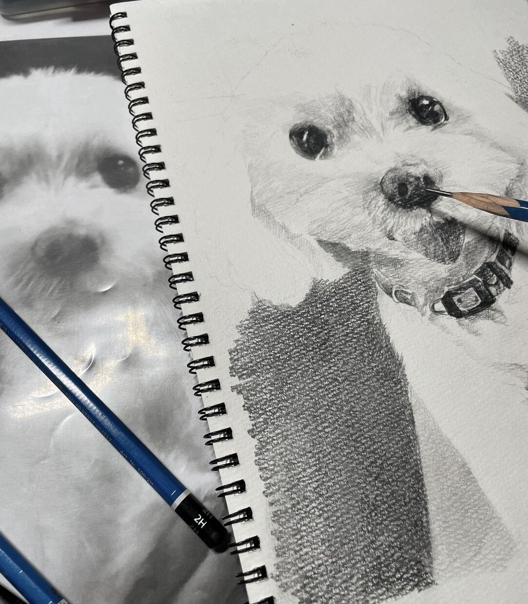 ペットの絵を描きます 思い出を、飾れるカタチにしませんか？ イメージ2