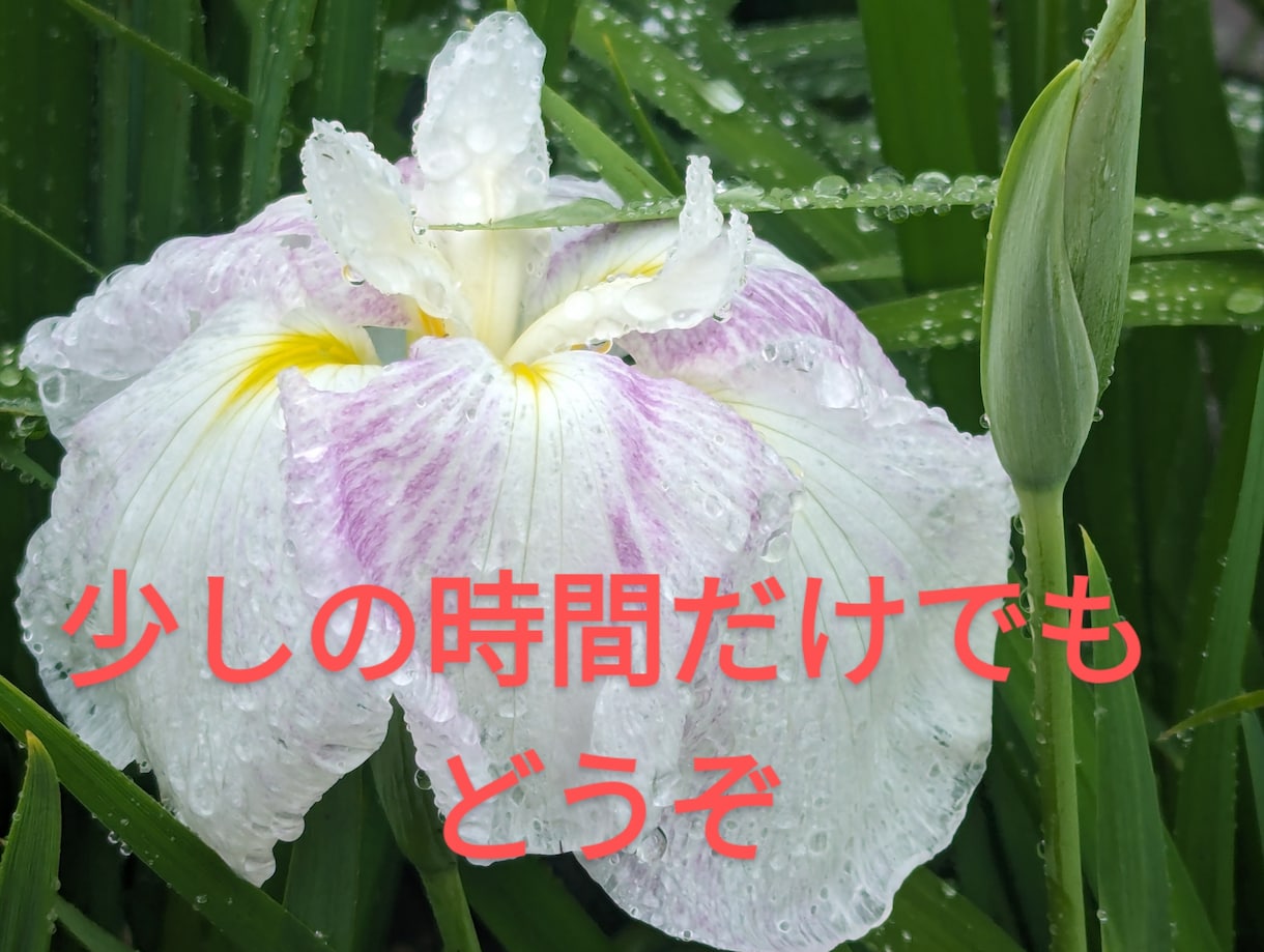 話し相手・愚痴聞きます 話し相手・愚痴聞きます他、何でも聞かせて下さい♪ イメージ2