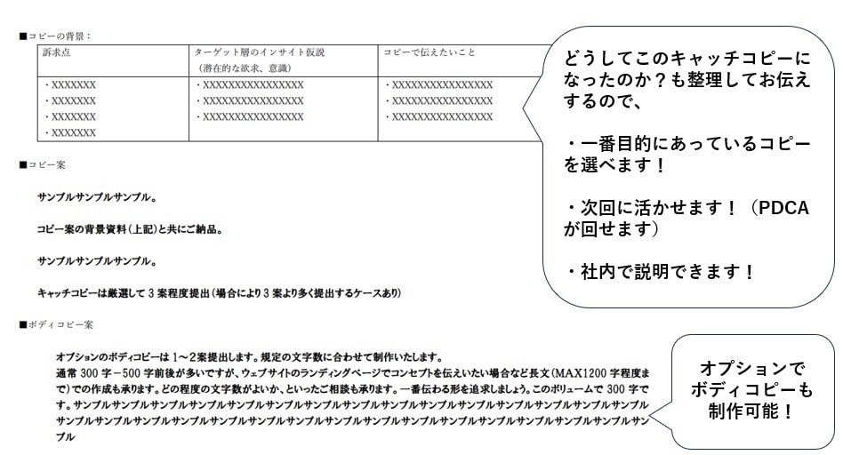 キャッチコピー／ボディコピーを作成します 文章／マーケティングのプロが作成します イメージ1