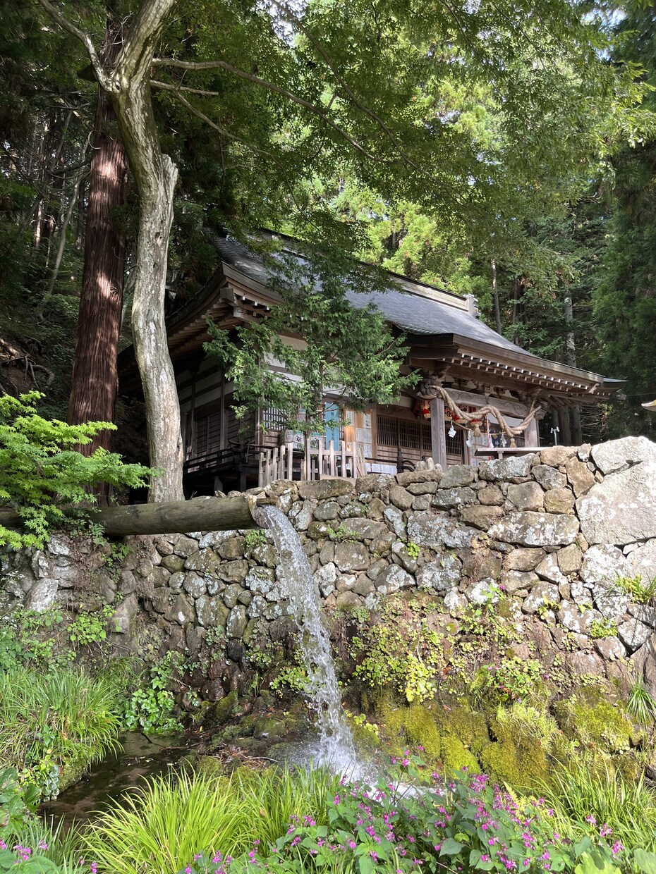女性の日常のお悩みなど、お話しお聞きします 【お悩み相談】お話聞きます✨より良い人生にしていきたい方へ イメージ5