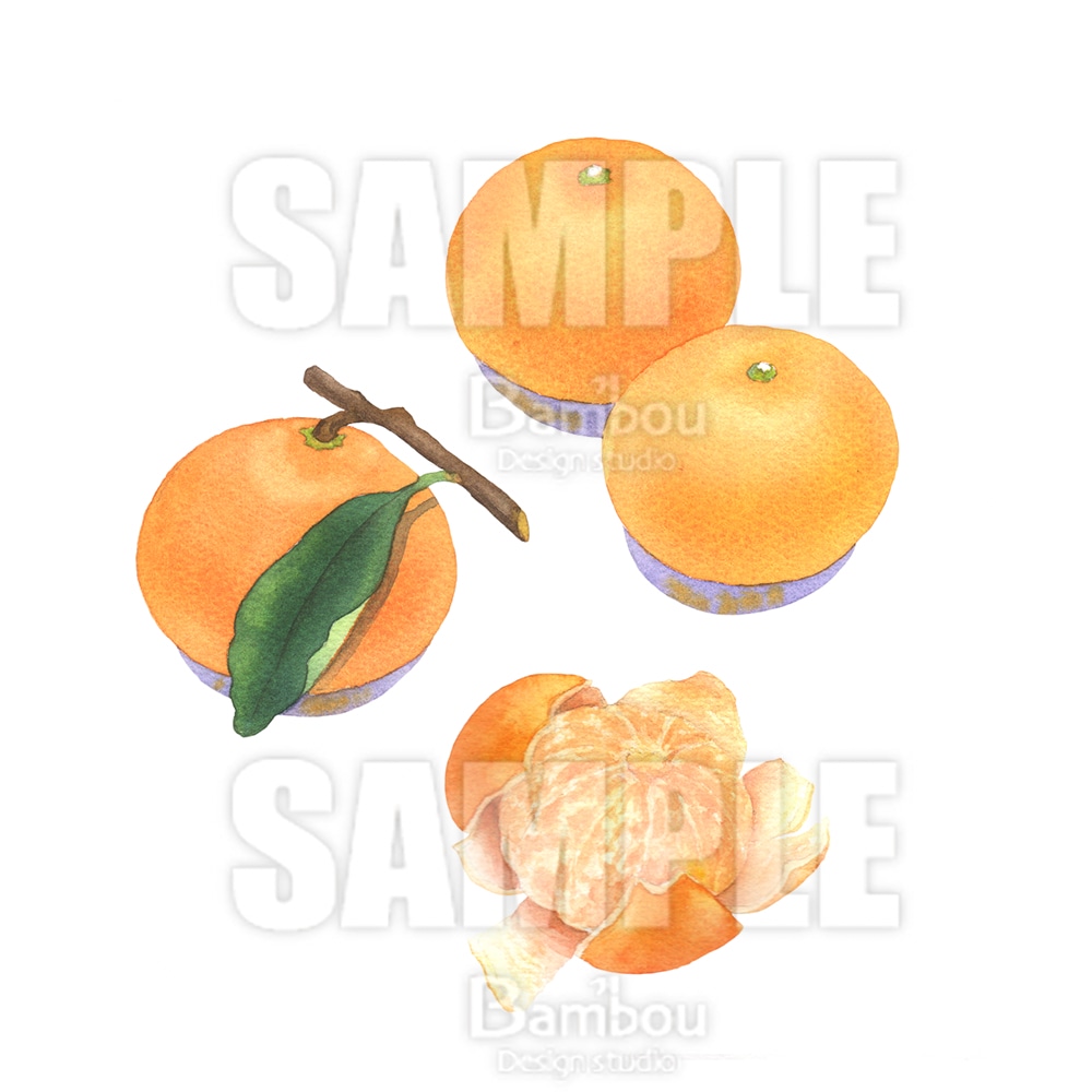 商用利用OK! 水彩【野菜・果物】イラスト描きます 挿絵に最適!季節の野菜や果物などを温かみのある水彩で描きます イメージ2