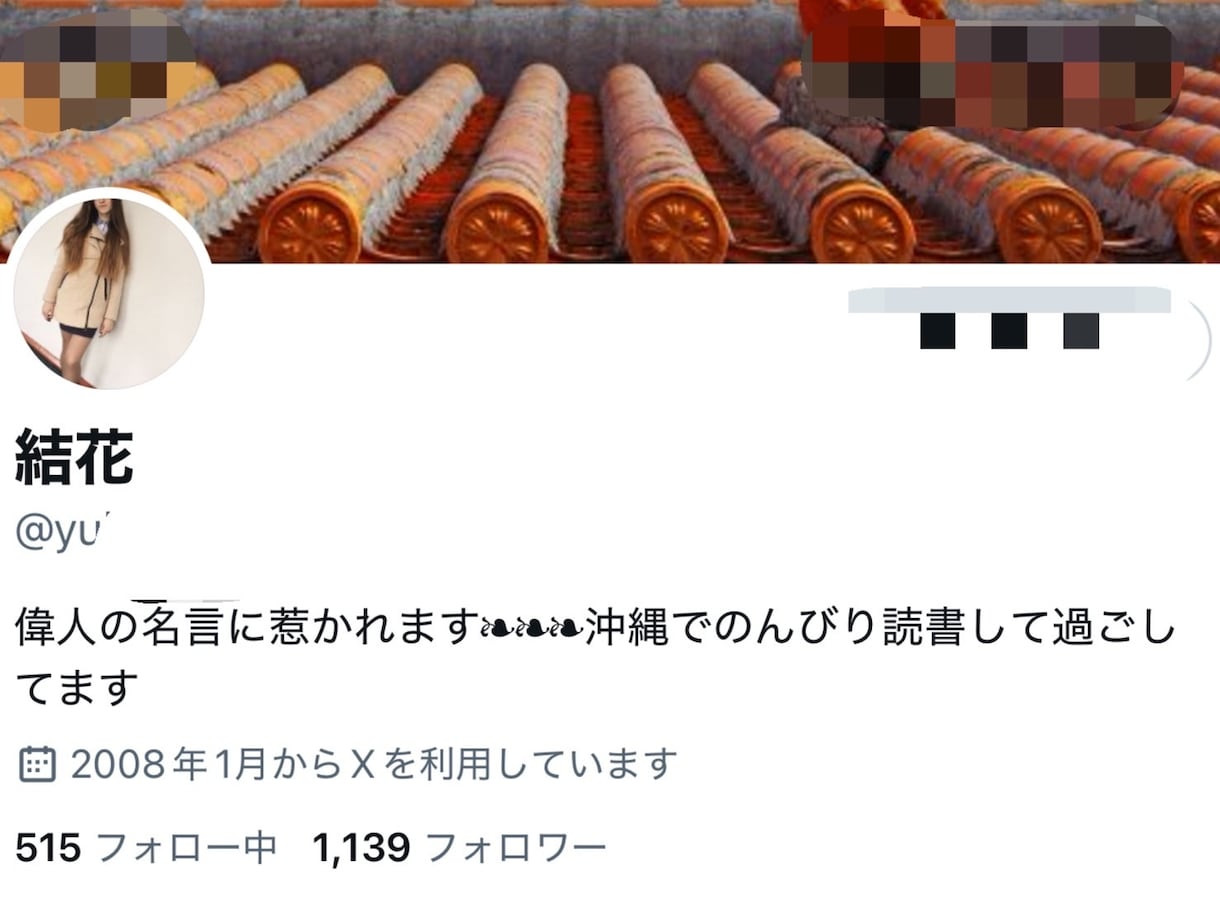 X日本人リアル垢リポスト+いいね+インプ増加します 購入バレなし×BOTなし×最高級高品質垢にてリポスト拡散！ イメージ8