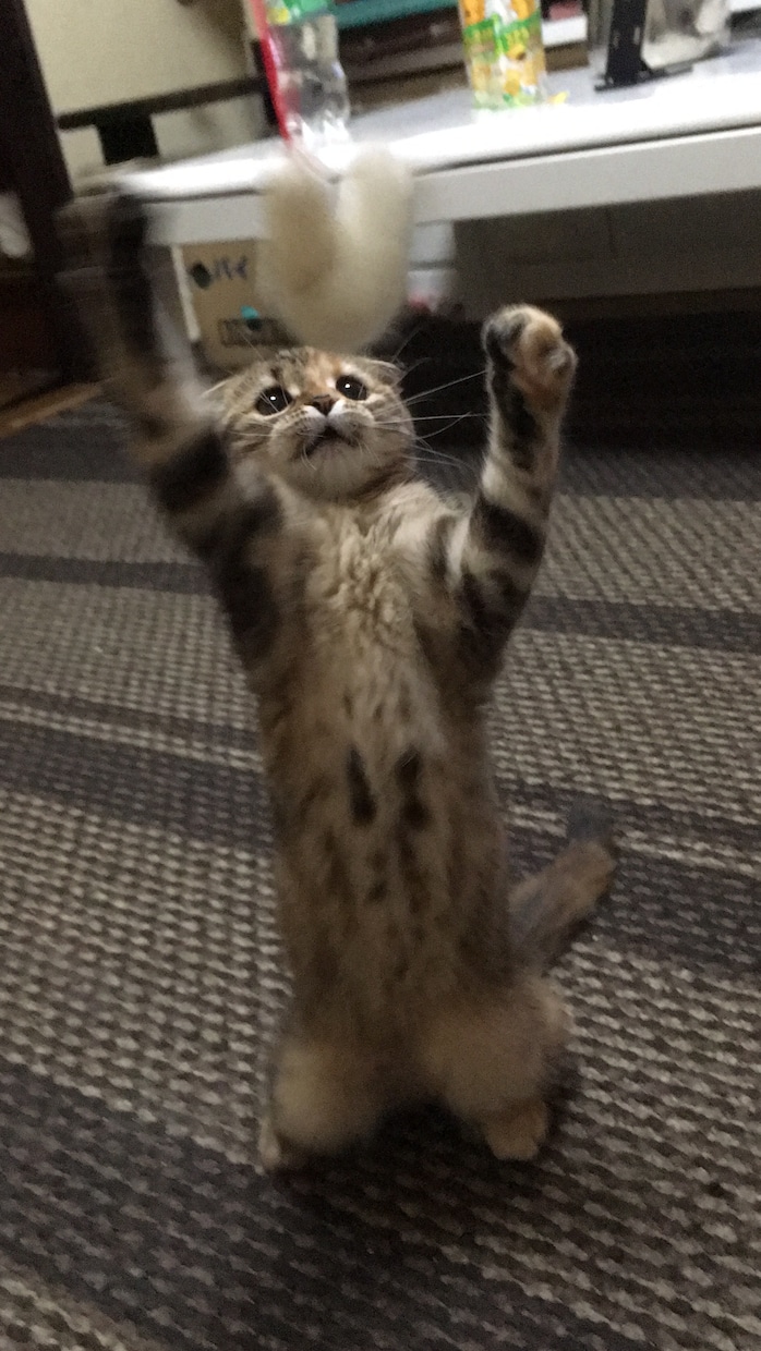 あなたのネガティヴをポジティヴに変えます 嫌なこと、辛いこと、悩みがあるあなたへ イメージ2
