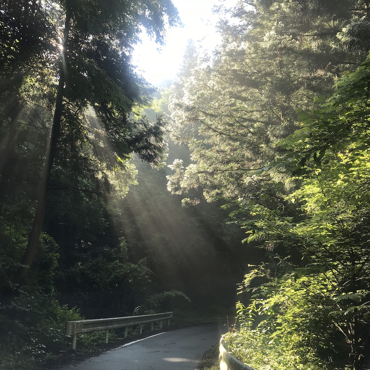 旅行先のおすすめの場所の提供やアドバイスをします 国内旅行をしていた私の行って損しない場所をお伝えします イメージ1