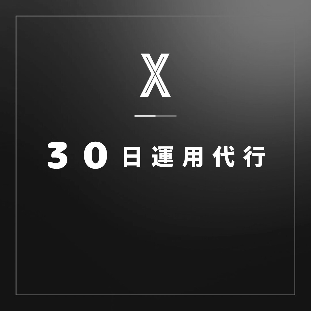 30日間Twitter運用を代行いたします SNS運用のプロが全て手作業でターゲットへのアクションを実施 イメージ1