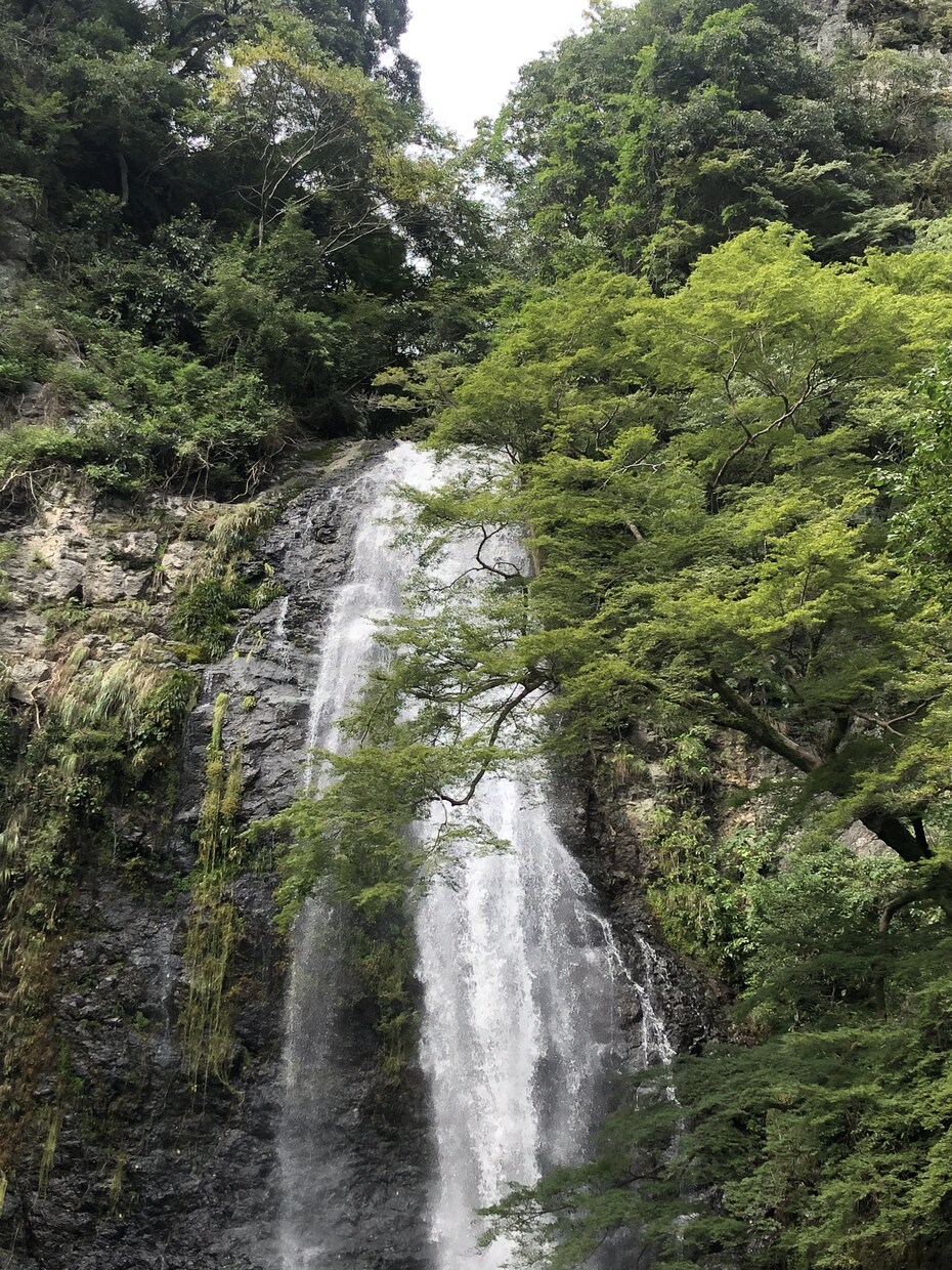 シンプルにあなたのお話を聞かせて頂きます ただ聞いてほしい！お気持ち受け止めます。 イメージ3