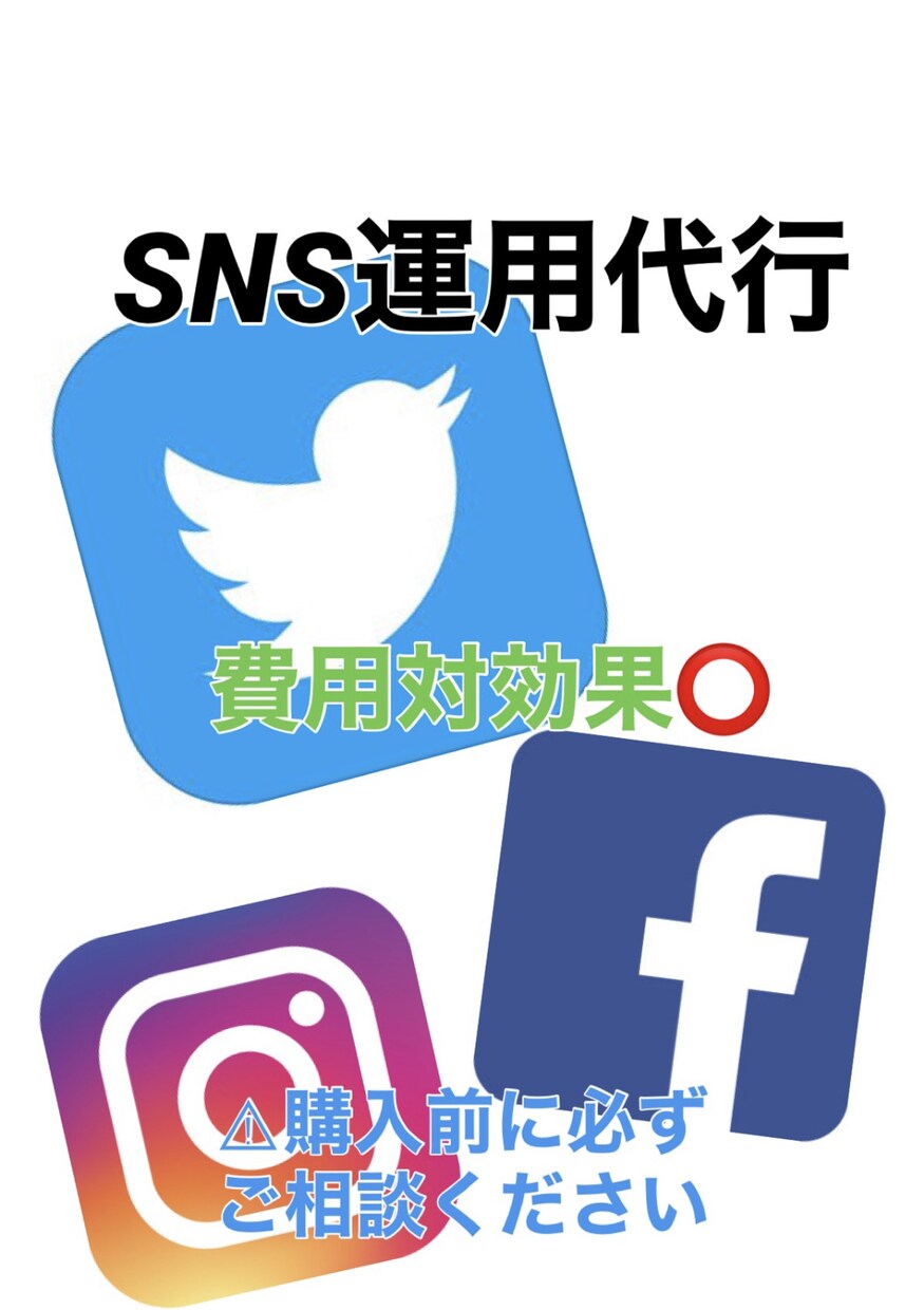 おすすめ/月額　SNS運用代行致します フォロワー、集客、収益でお困りの方のために イメージ1