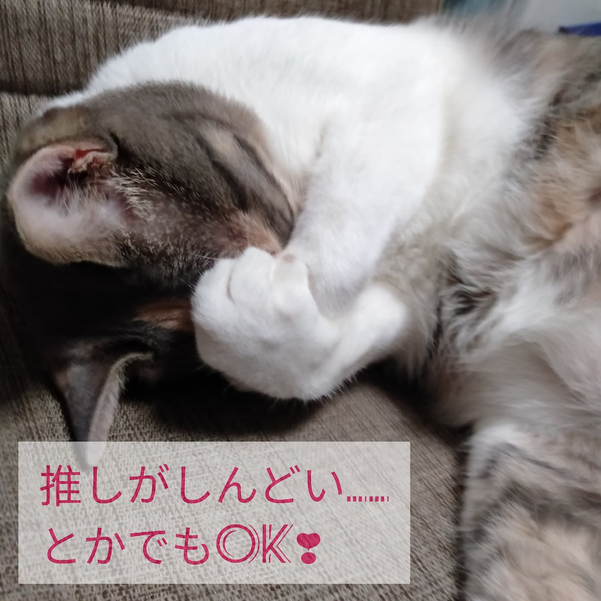 しんどいこと、楽しかったこと、お聞きします 誰か聞いて〜！、それ、毒親育ちのオタクがお聞きします。 イメージ2