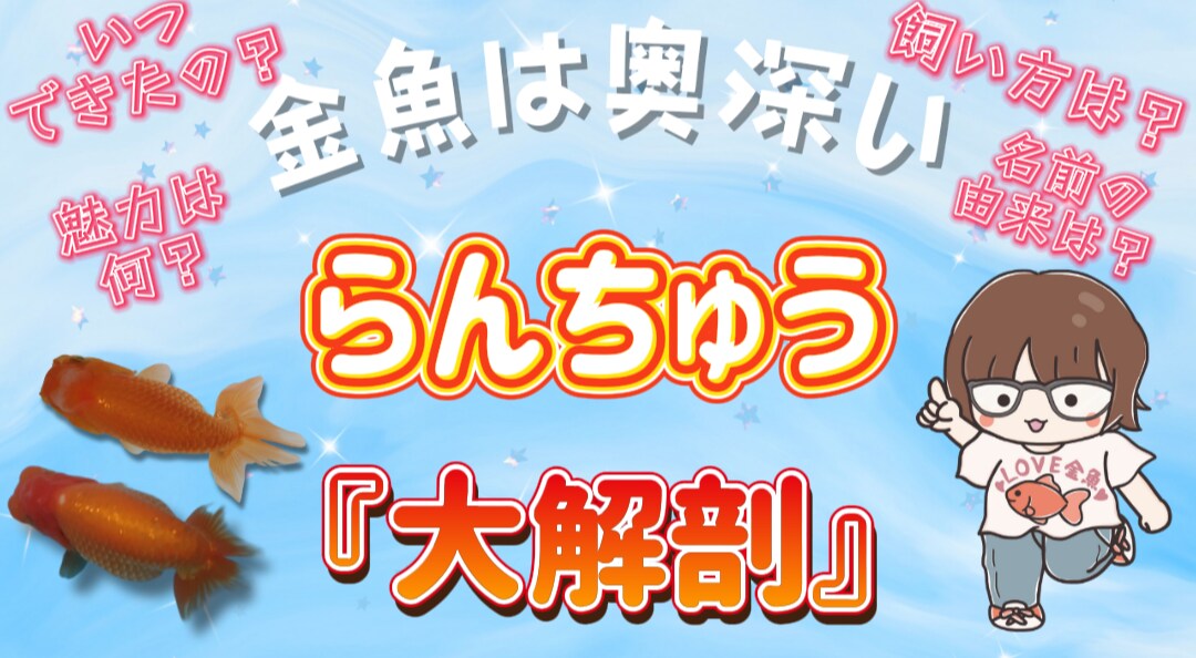 ジャンル限定！YouTube用サムネイル作成します ペット・スピ系限定ですが、丁寧に作成させていただきます。 イメージ5