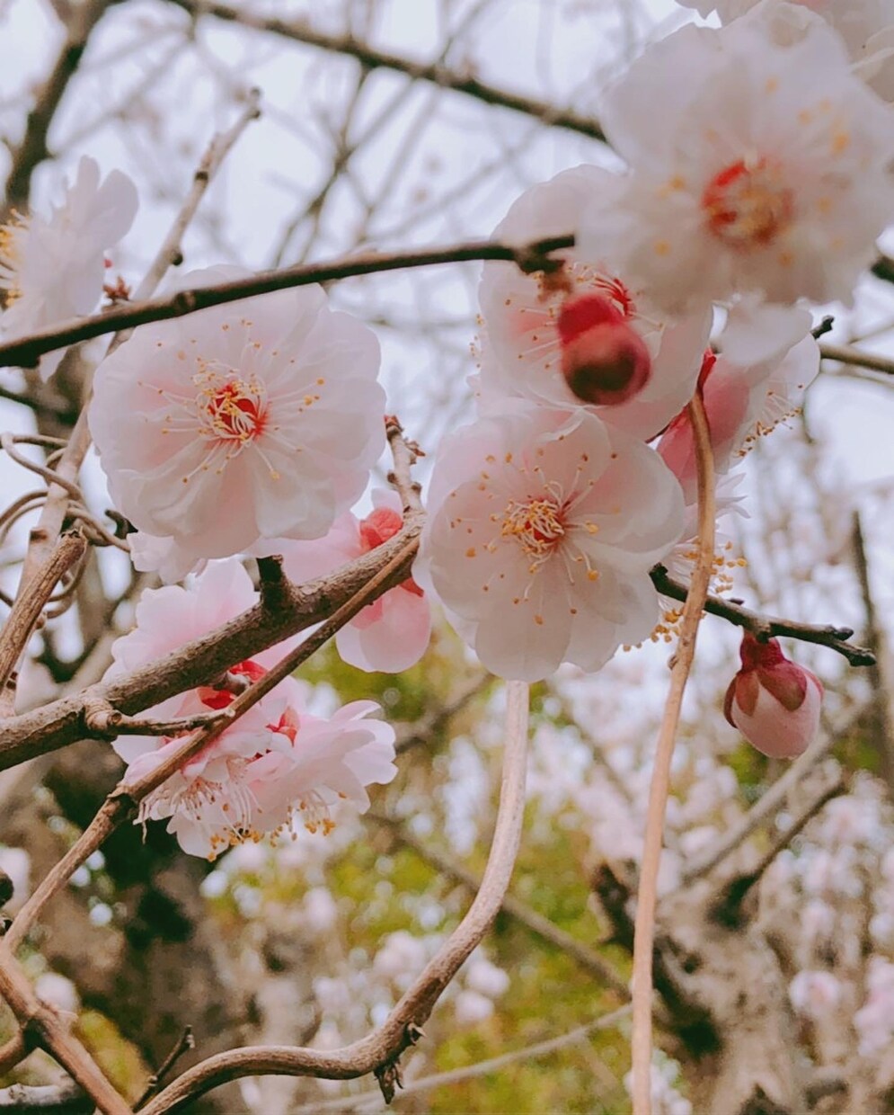 なかなか話せない話などお話し相手、愚痴聞きます 知り合いには話しにくい話など愚痴や話し相手になります イメージ4