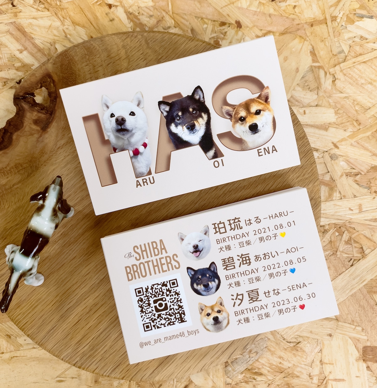 ３頭対応【うちの子名刺】を制作します ひときわ目を惹くペット名刺、プロデザイナーへお任せ下さい イメージ3