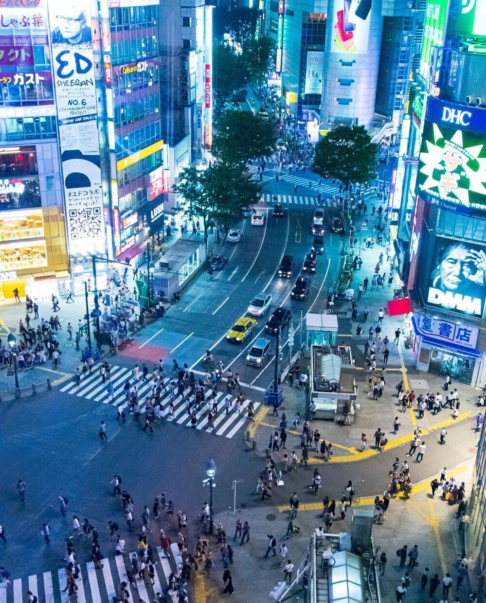 素敵な写真撮ります フランス•パリ出身のカメラマンにおまかせ！ イメージ4