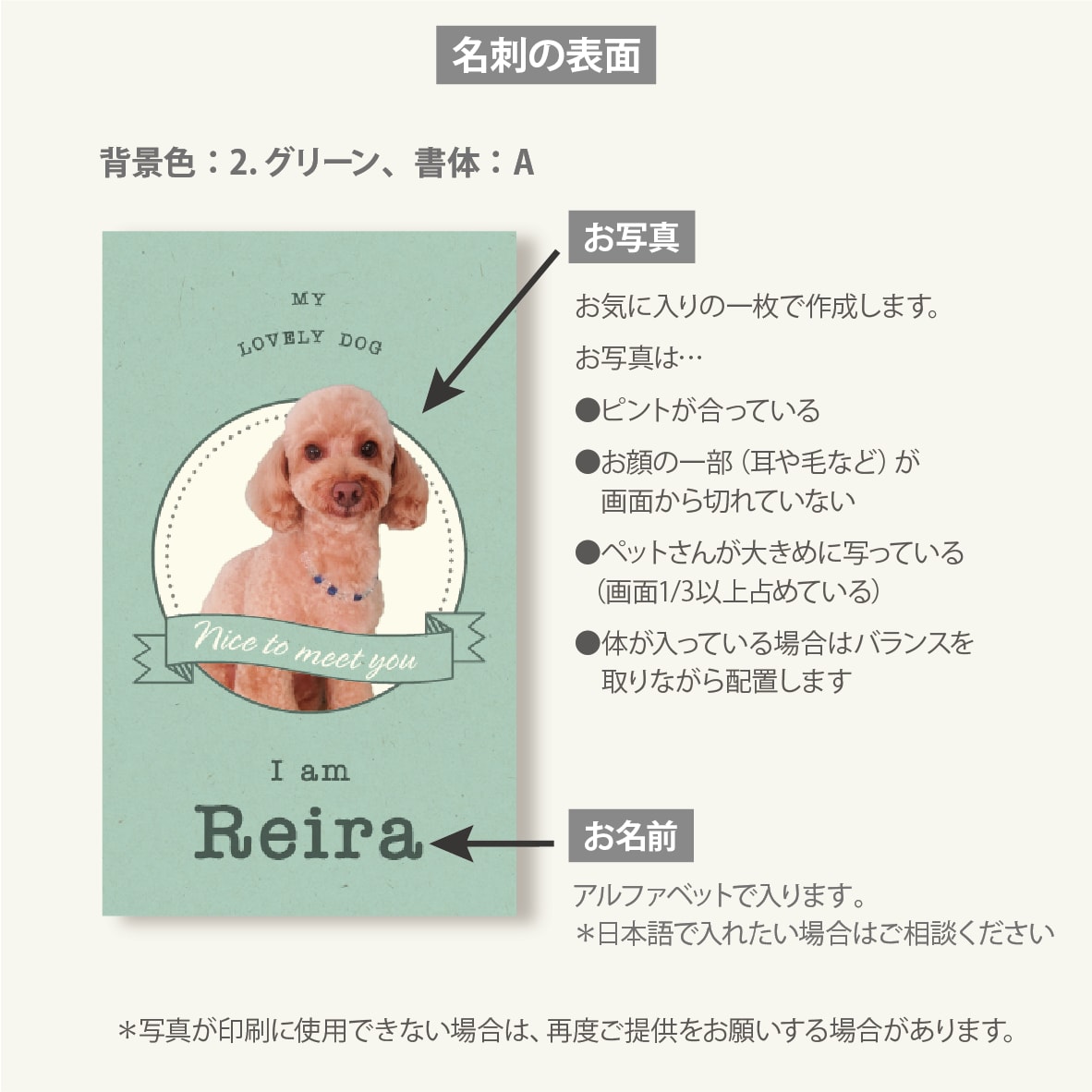 写真入り犬猫ペット名刺　色と書体が選べます 歴15年のデザイナーが作るセミオーダー名刺100枚送料込 イメージ2