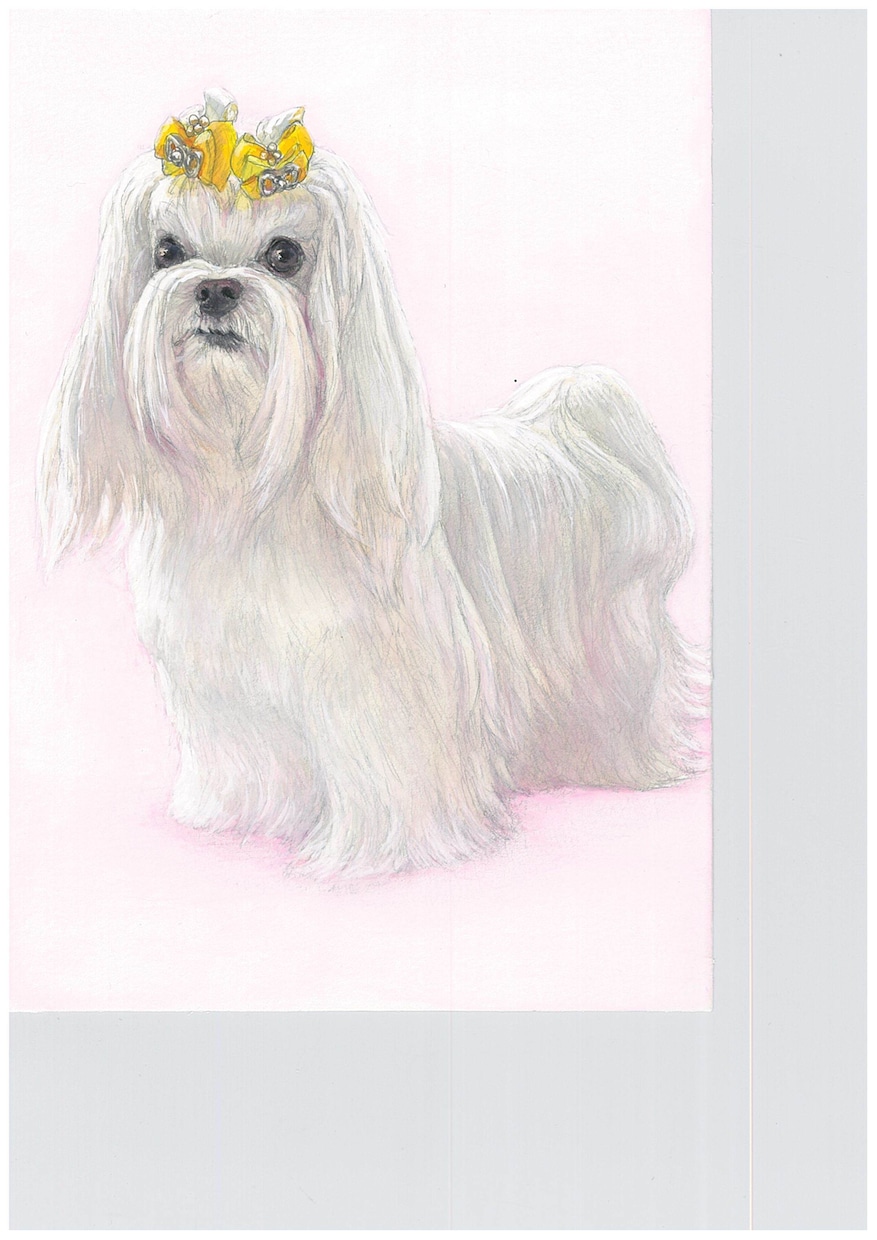 鉛筆画・水彩画で似顔絵(写真模写)を制作します ☆美大卒☆日本画家の私が、一筆一筆、丁寧に描画致します イメージ7