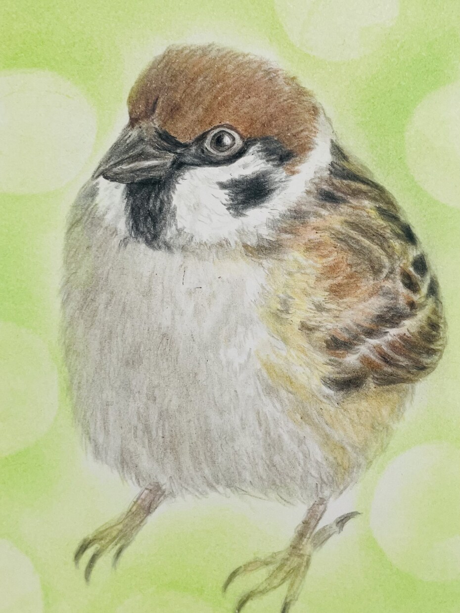 オーダーメイド色鉛筆画　世界に一つの原画になります 愛鳥や野鳥を色鉛筆でひと塗りひと塗りリアルに仕上げます。原画 イメージ10