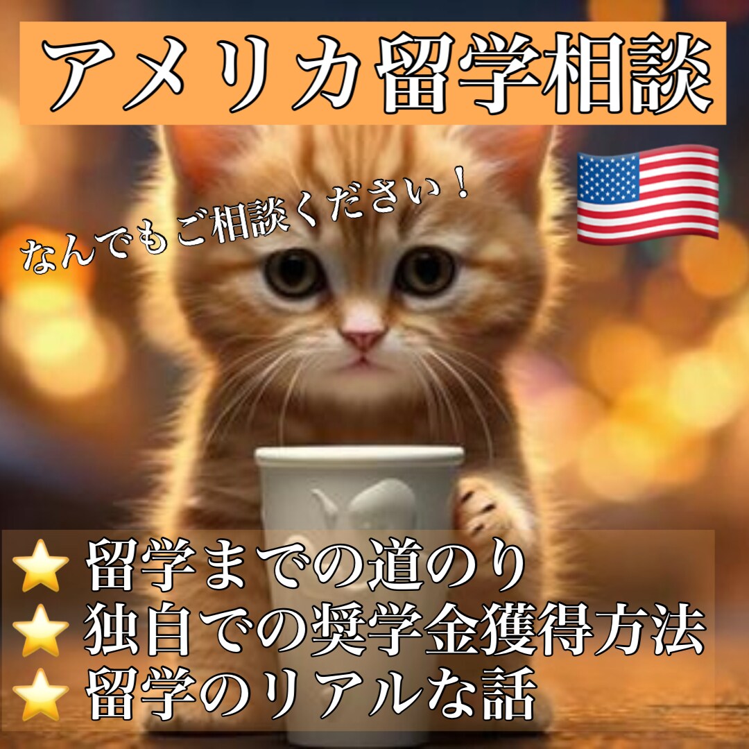 現役アメリカ留学生がアメリカ大学相談のります 【留学しようか迷っている方・これからアメリカ留学する方へ】 イメージ1