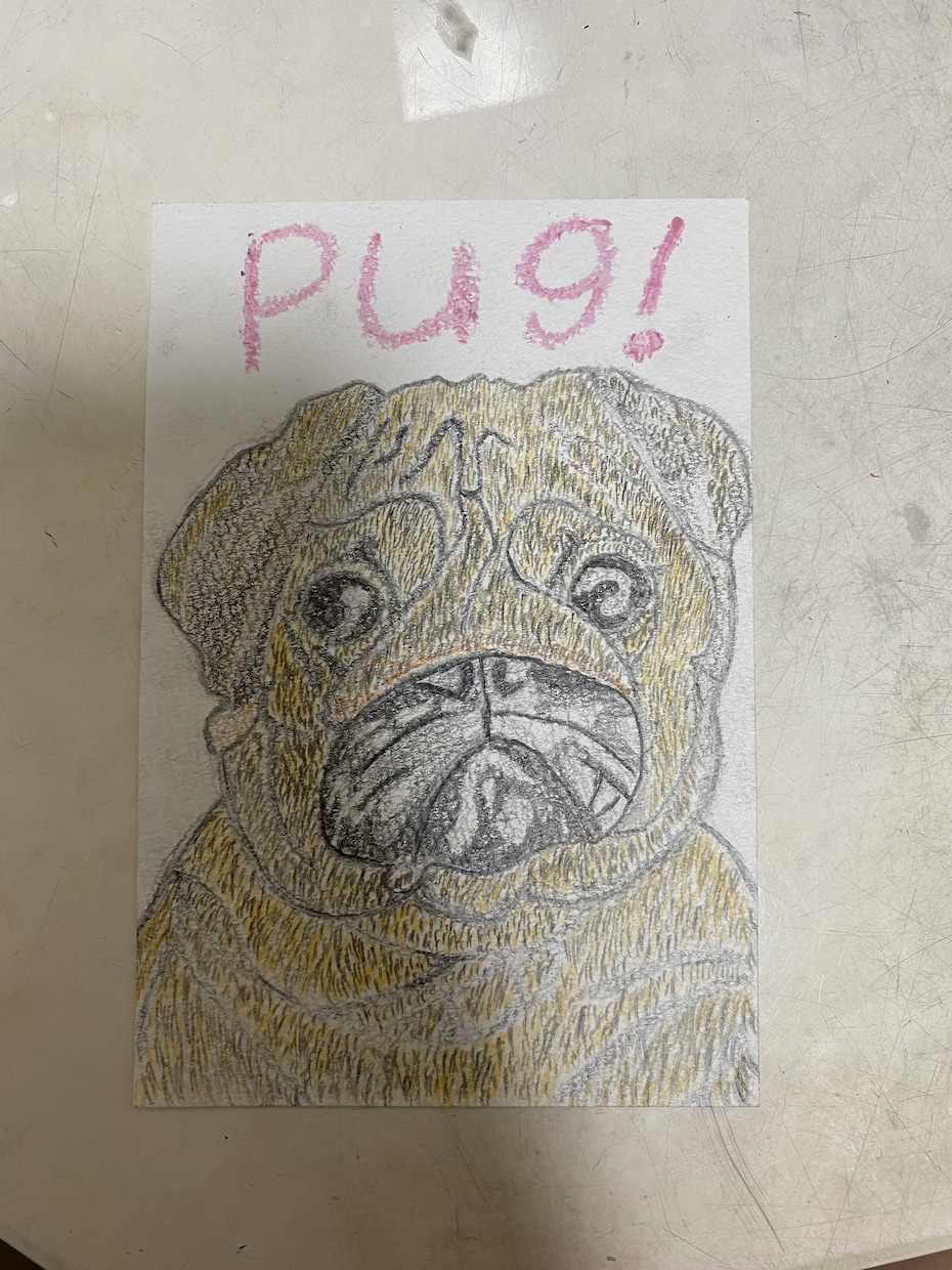 愛して止まないペットお描きします 絵に宿る！！！愛してやまない家族(動物)がいつでも側に✨ イメージ1