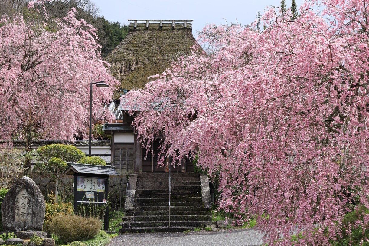 オンライン　日本語学習者向けに関西弁を教えます 関西人になれる　楽しんで習得しましょう！ イメージ1