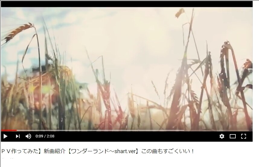 動画制作（商品PR、会社紹介、採用用動画）承ります あなたの思いを形に！『魅力的な映像で心を掴め！』 イメージ1