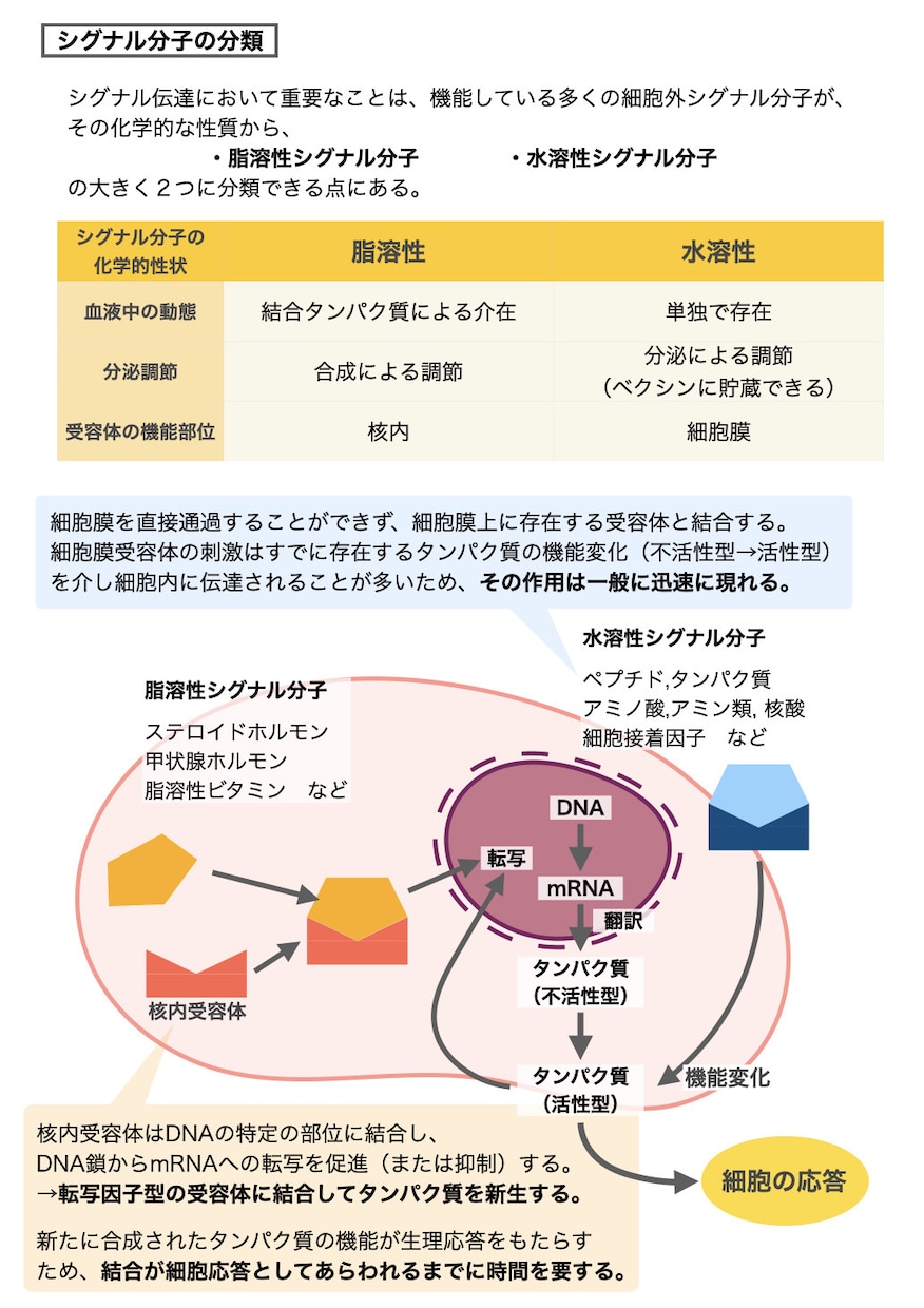 紙面デザインいたします わかりやすく、見やすい誌面作ります！ イメージ2