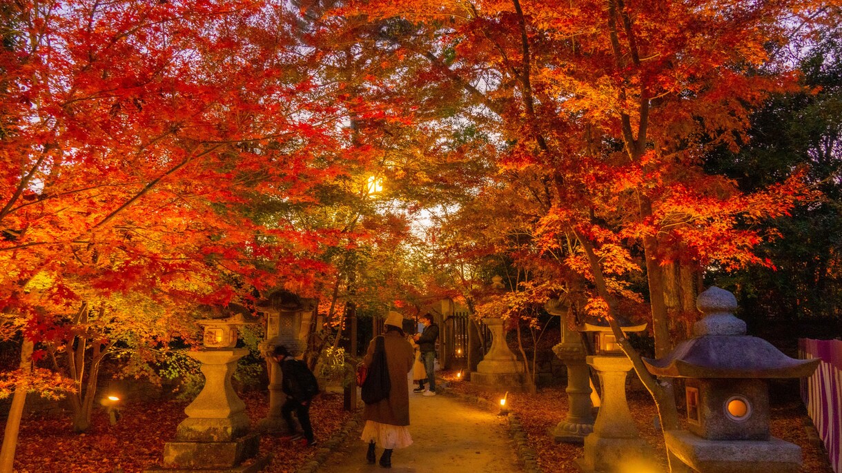 あなたが行きたくなる旅行先を提案させていただきます あなたの旅行をより良くさせていただく手助けをさせてください！ イメージ2