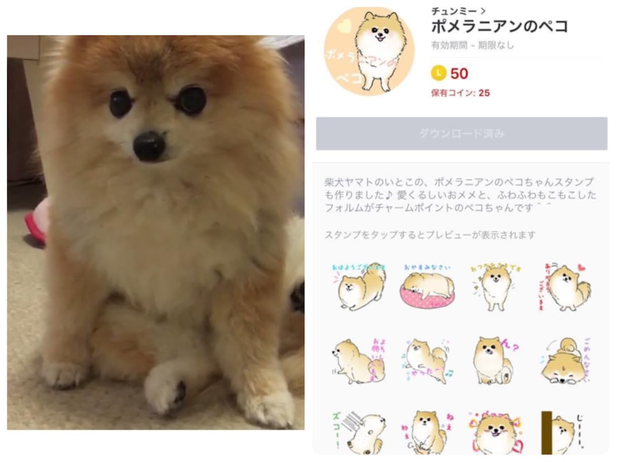 愛犬(ペット)の似顔絵LINEスタンプ作ります 写真を見ながら丁寧に描きます！世界に一つのオリジナル♪ イメージ6
