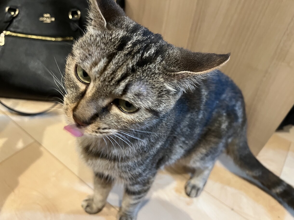 女性の方向けです。お話し聞きます 一人で抱えこんで本当の闇に落ちる前に イメージ9