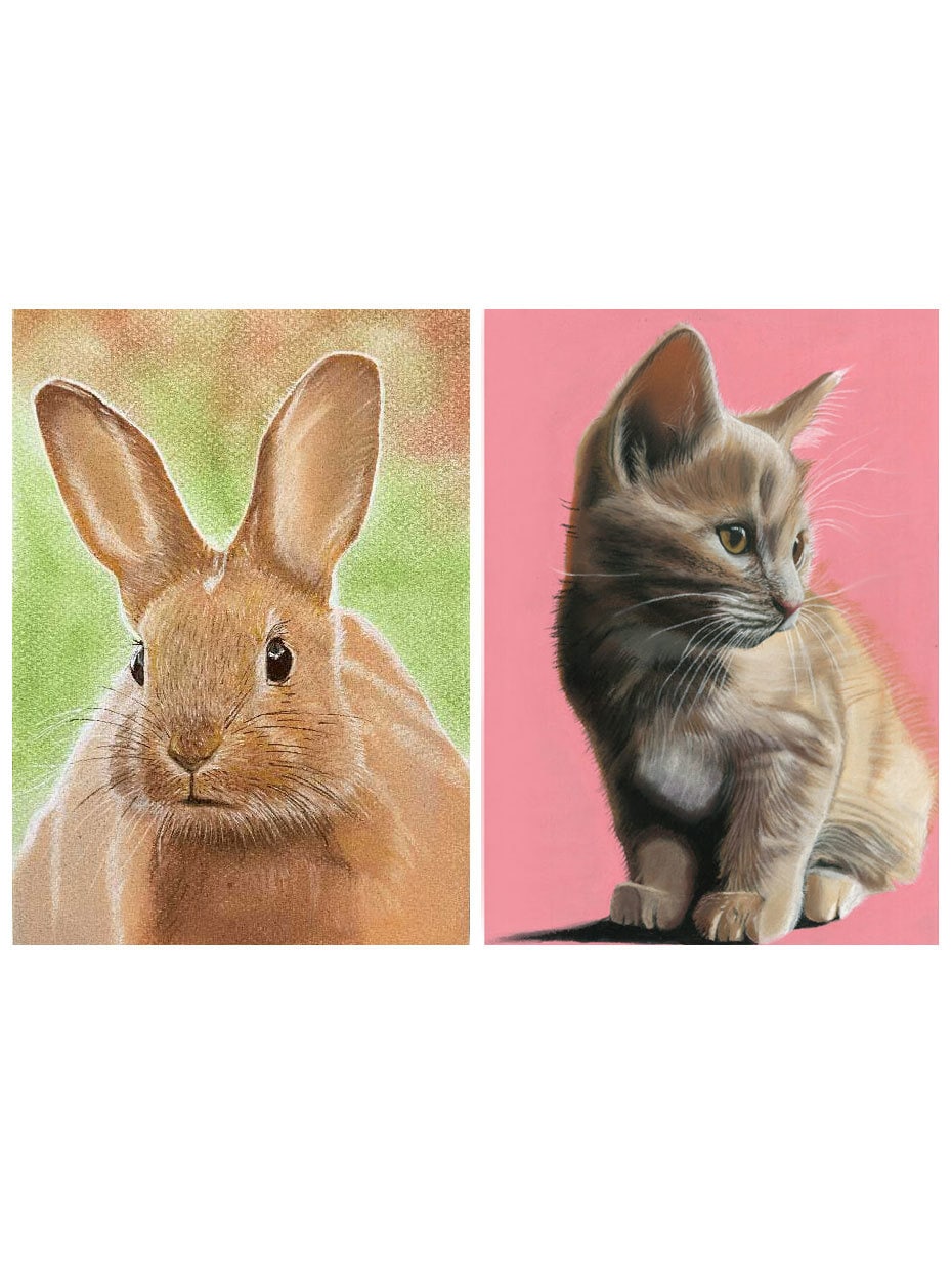 オンライン絵画教室！猫や風景画などの描き方教えます 89動画で学べるパステル画絵画教室！楽しく認知症予防！ イメージ3
