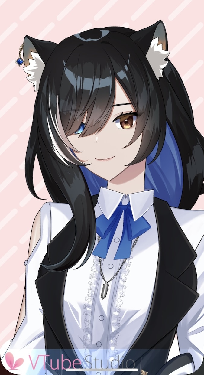 キャラデザからLive2Dモデリングまでします 初めてでもVtuberになりたいと考えている方へ！ イメージ2